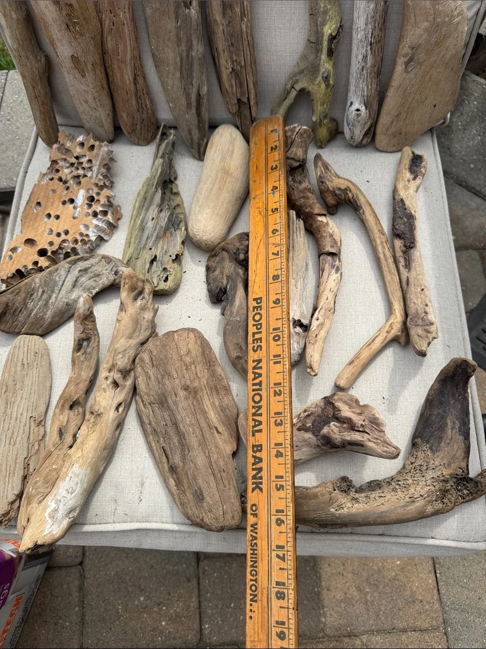 22 pcs(5lb shipped)Natural Driftwood & Beach Wood Accent Collection decor, craft